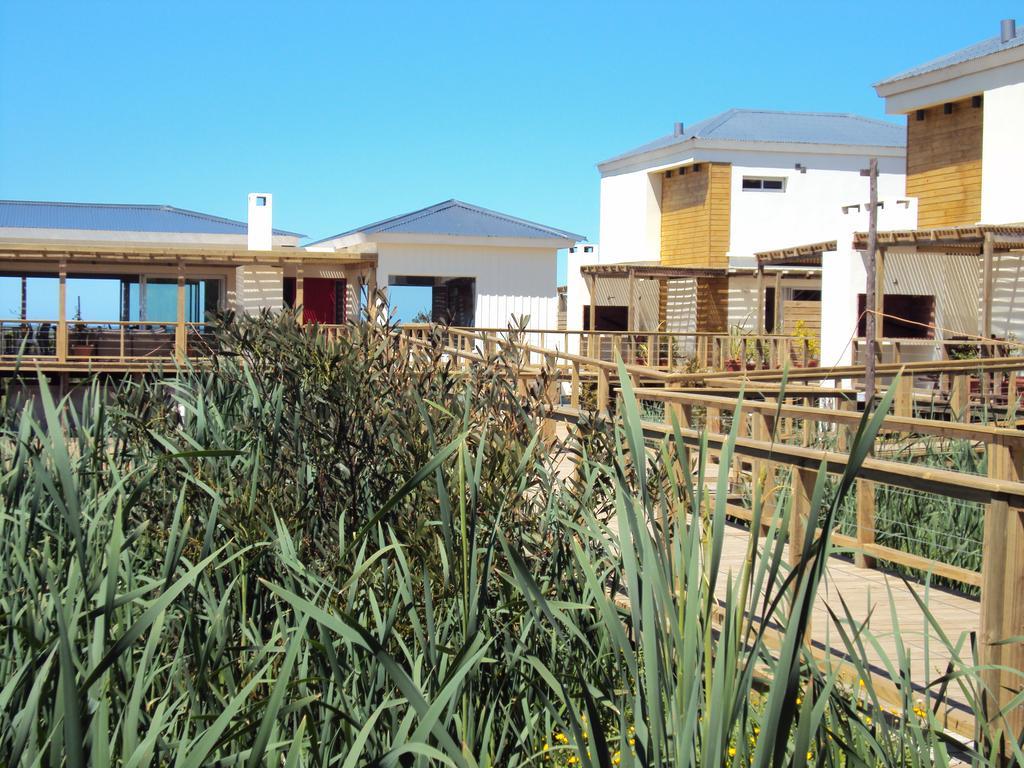 Las Eduardas La Paloma Exteriér fotografie