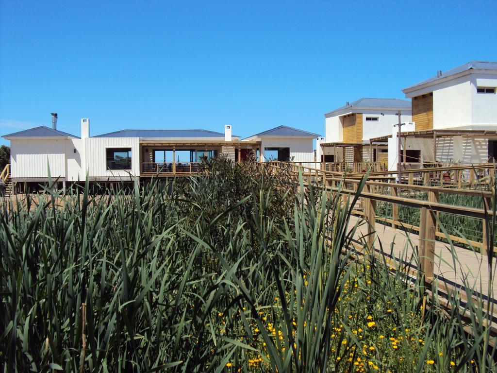 Las Eduardas La Paloma Exteriér fotografie